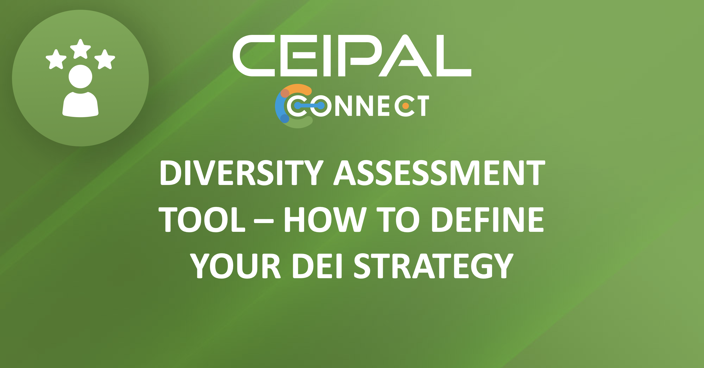 Diversity Assessment Tool – How to define your DEI Strategy