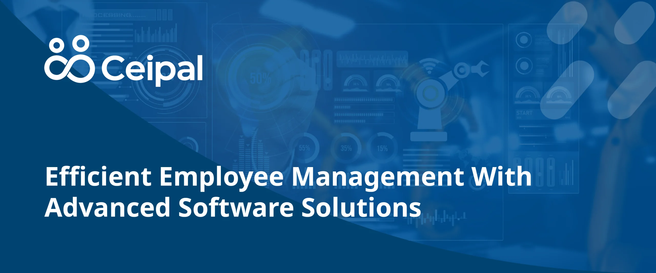 Employee Management Software: Efficiently Manage Your Employee Data